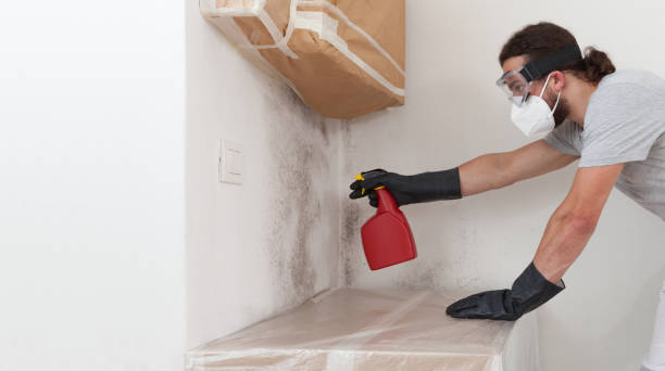Attic Mold Remediation treatment on roof deck in Franklin